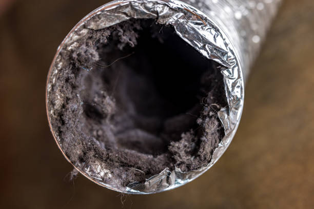 Best HVAC Air Duct Cleaning  in South Bend, WA