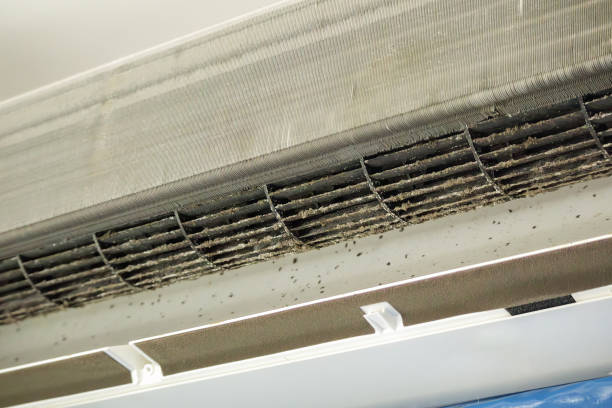 Best HVAC Maintenance and Cleaning  in South Bend, WA